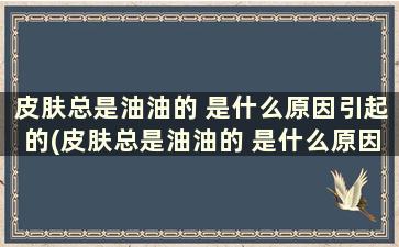 皮肤总是油油的 是什么原因引起的(皮肤总是油油的 是什么原因造成的)